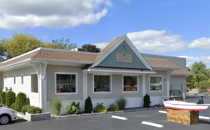 Harbor Animal Hospital Picture 4