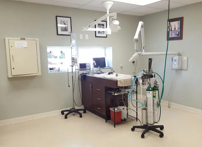 Harbor Animal Hospital Picture 5