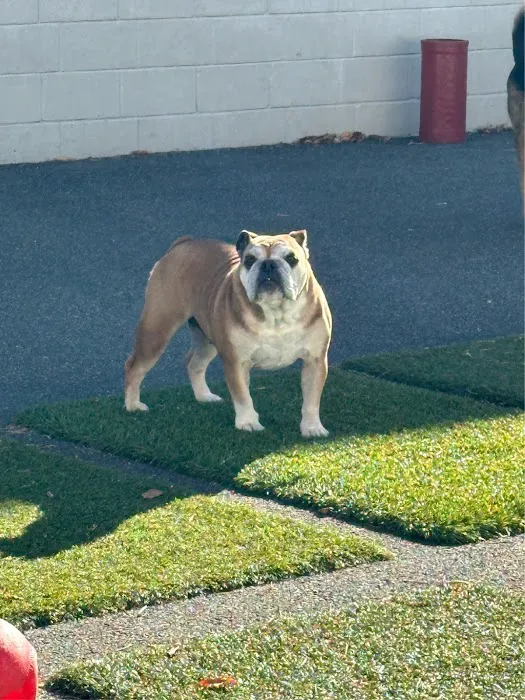 Harbor Animal Hospital Picture 8