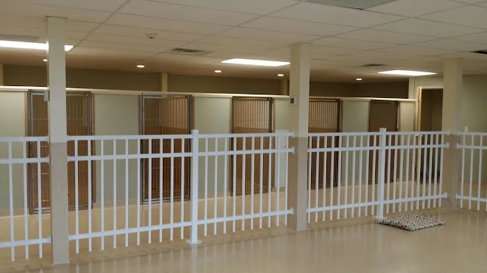 Harbor Animal Hospital Picture 10