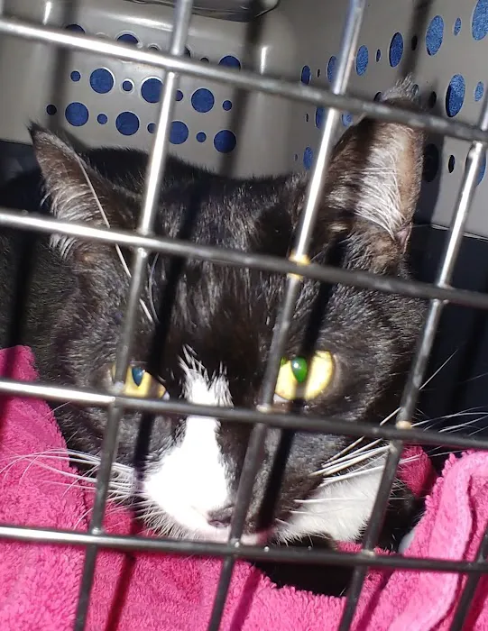 Warren Animal Hospital Picture 6