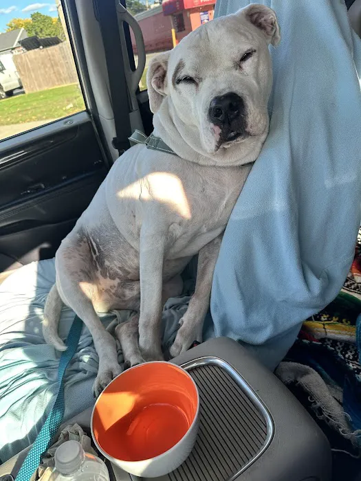 Warren Animal Hospital Picture 4