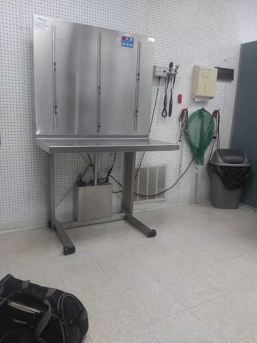 Veterinary Services of Pawtucket Picture 4