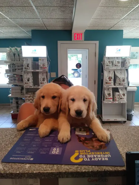VCA Lancaster Animal Hospital Picture 2