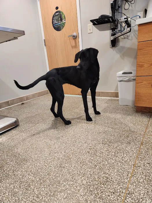 VCA Lancaster Animal Hospital Picture 5