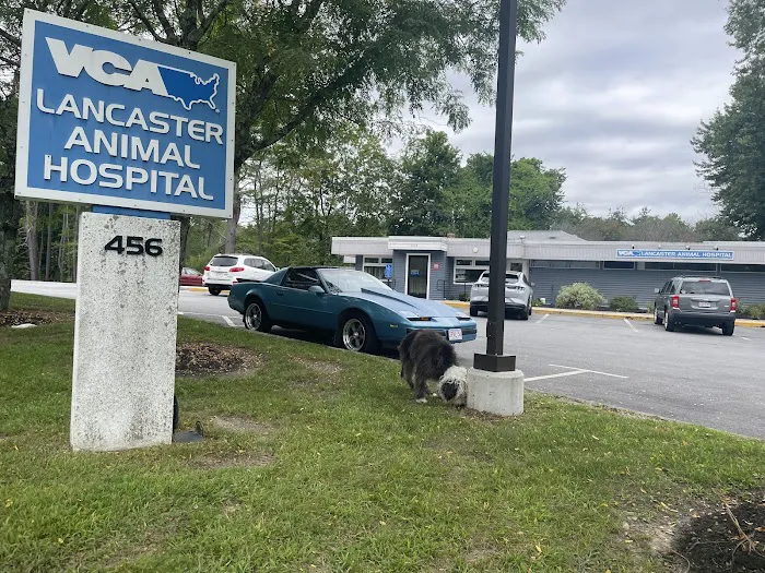 VCA Lancaster Animal Hospital Picture 9