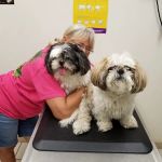 Clinton Veterinary Hospital