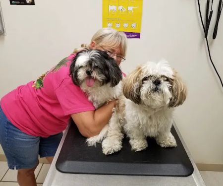 Clinton Veterinary Hospital