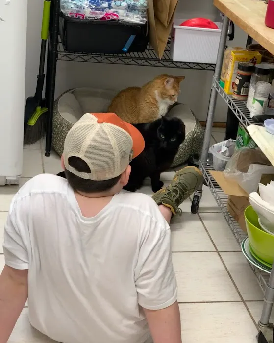 Clinton Veterinary Hospital Picture 7