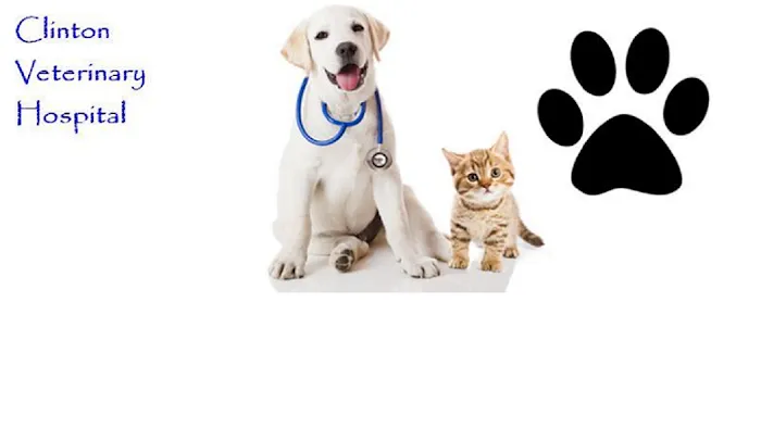 Clinton Veterinary Hospital Picture 9