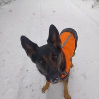 Animal Care Clinic-Monadnock ico