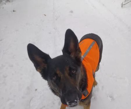 Animal Care Clinic-Monadnock