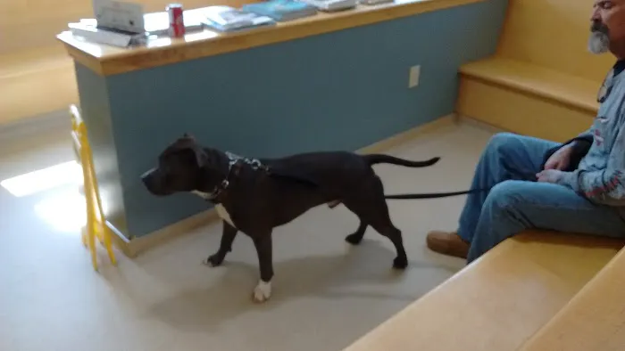 Wilton Animal Hospital Picture 10