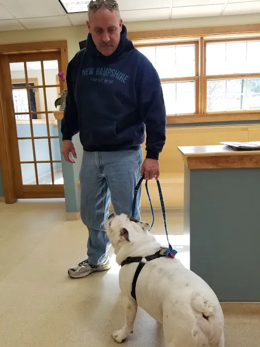 Wilton Animal Hospital Picture 3