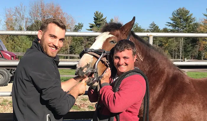 Kokal Farm Veterinary Services - Equine Dentistry, Equine Chiropractic and Lameness Services Picture 4