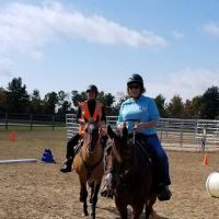 Kokal Farm Veterinary Services - Equine Dentistry, Equine Chiropractic and Lameness Services ico