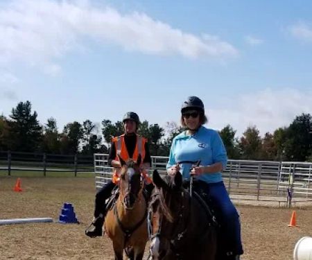 Kokal Farm Veterinary Services - Equine Dentistry, Equine Chiropractic and Lameness Services