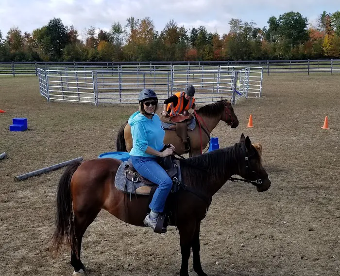 Kokal Farm Veterinary Services - Equine Dentistry, Equine Chiropractic and Lameness Services Picture 2