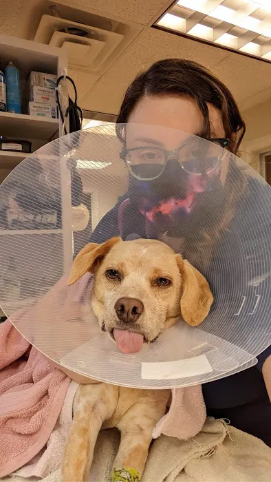 Townsend Veterinary Hospital Picture 6