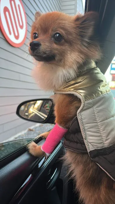 Best Friends Veterinary Hospital Picture 5