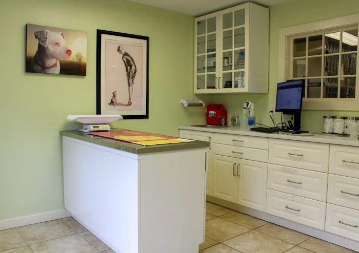 Brookline Animal Hospital, A Thrive Pet Healthcare Partner Picture 6