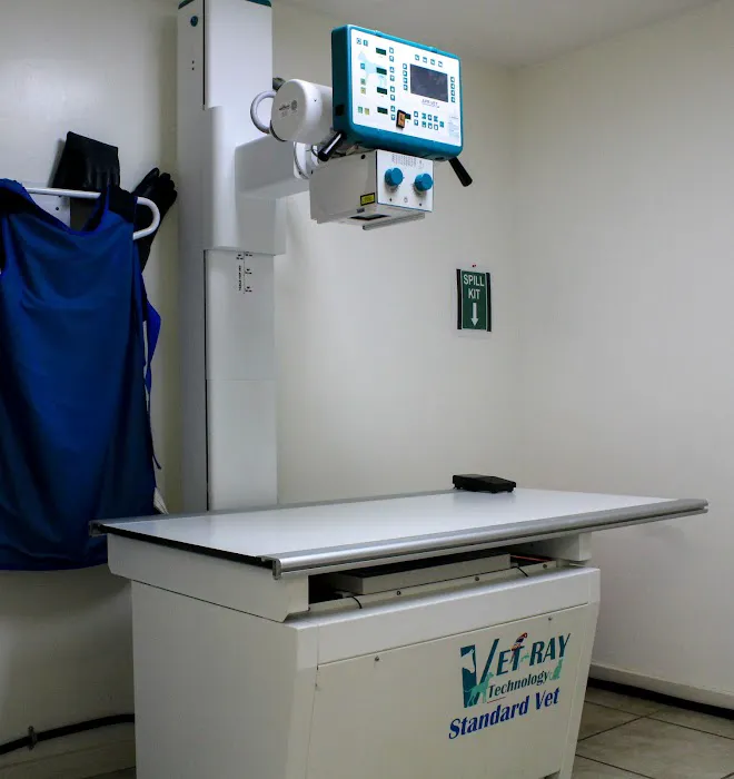 Brookline Animal Hospital, A Thrive Pet Healthcare Partner Picture 7
