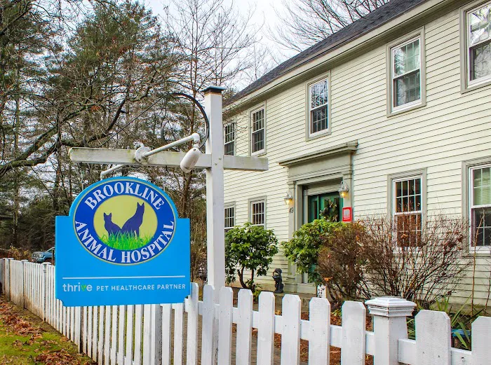 Brookline Animal Hospital, A Thrive Pet Healthcare Partner Picture 10