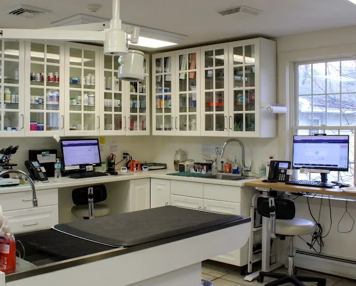 Brookline Animal Hospital, A Thrive Pet Healthcare Partner Picture 9