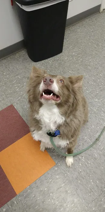 Highlands Veterinary Clinic Picture 1