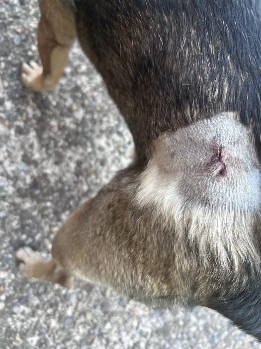 Highlands Veterinary Clinic Picture 4
