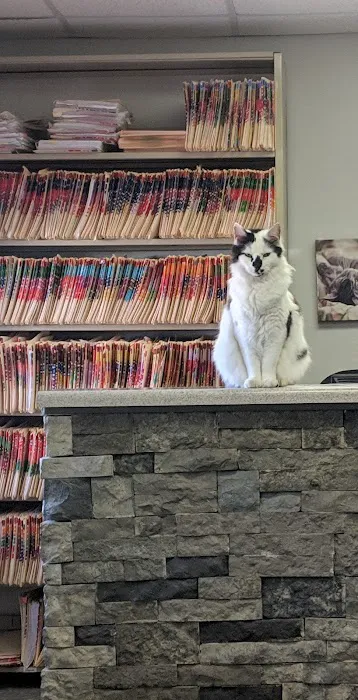 Highlands Veterinary Clinic Picture 6