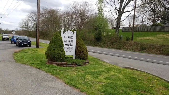 Bedford Animal Hospital Picture 1