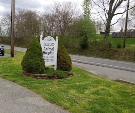 Bedford Animal Hospital