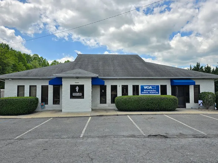 VCA Boonsboro Animal Hospital Picture 5