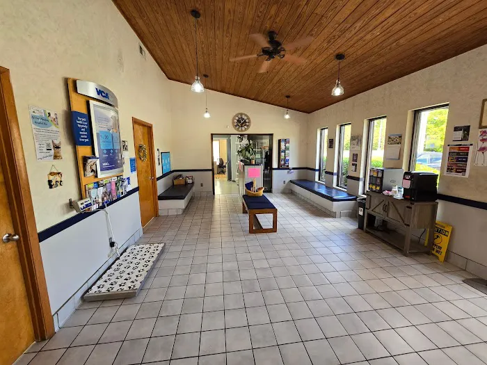 VCA Boonsboro Animal Hospital Picture 3