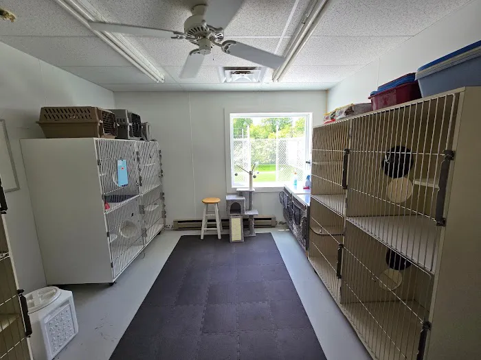 VCA Boonsboro Animal Hospital Picture 2