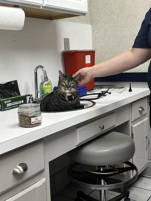 VCA Boonsboro Animal Hospital Picture 4