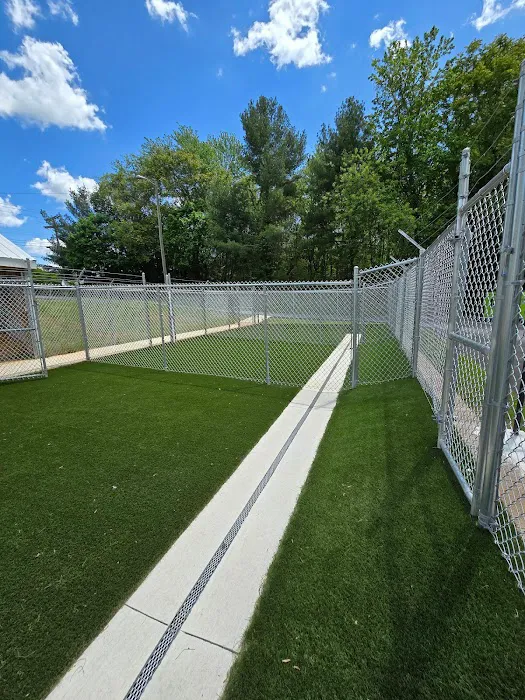 VCA Boonsboro Animal Hospital Picture 7