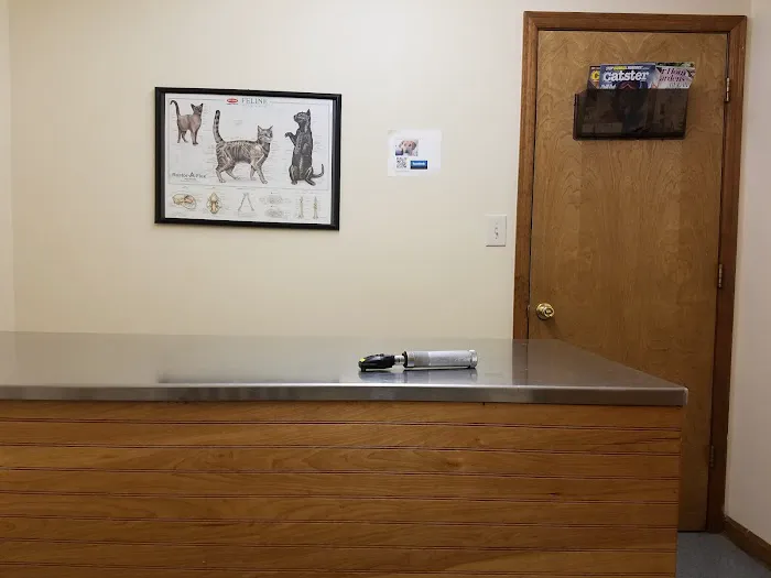 VCA Amherst Animal Hospital Picture 5