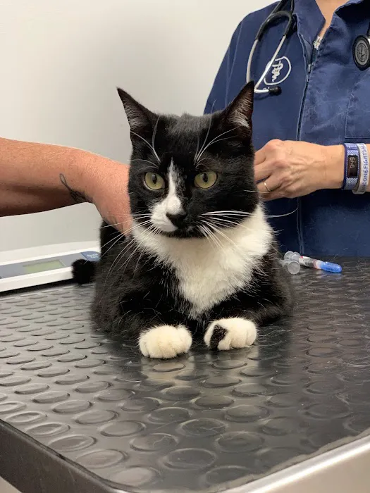 Oak Hill Veterinary Care & Pet Resort Picture 1