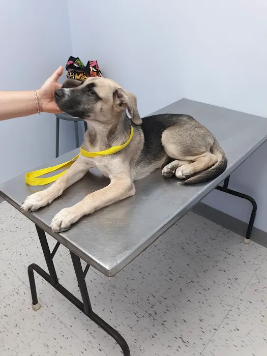 Diamond Hill Animal Hospital Picture 9