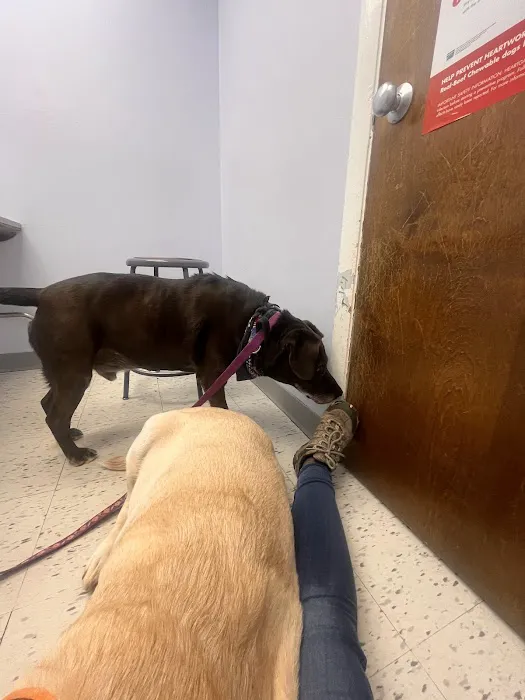 Diamond Hill Animal Hospital Picture 8
