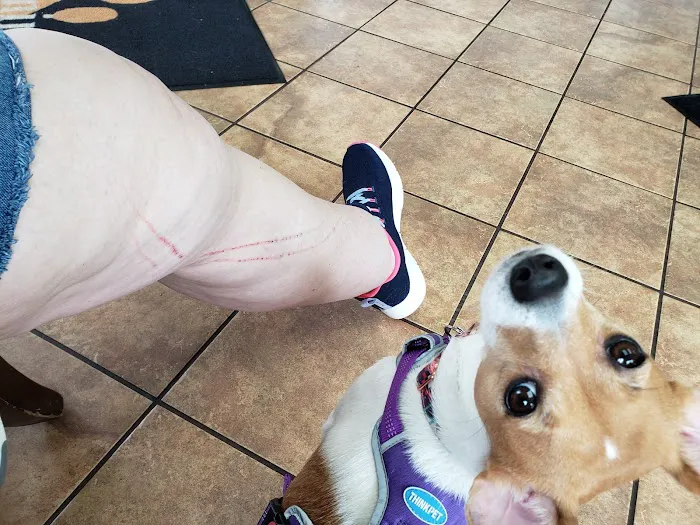 Animal Hospital of Lynchburg Picture 2
