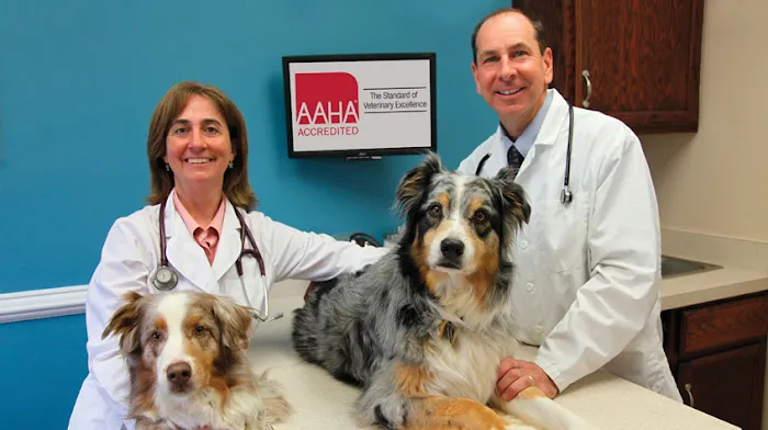 Animal Hospital of Lynchburg Picture 6
