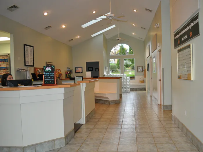 Peaks View Animal Hospital Picture 9
