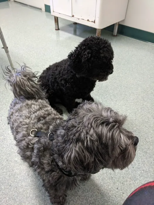 Piedmont Veterinary Service Picture 1