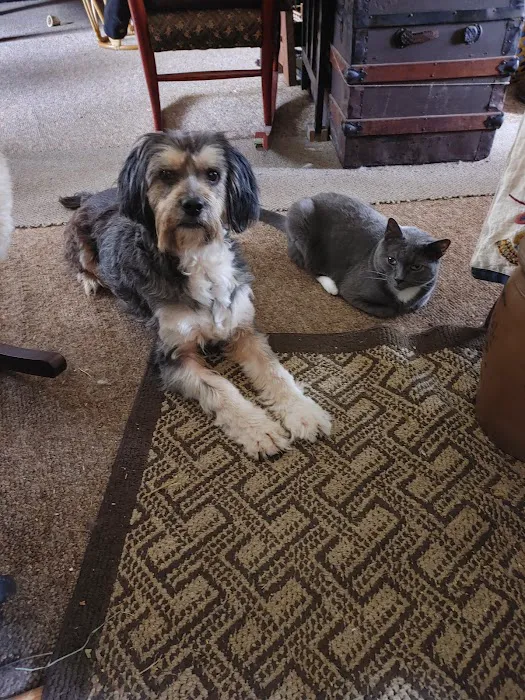 Piedmont Veterinary Service Picture 6