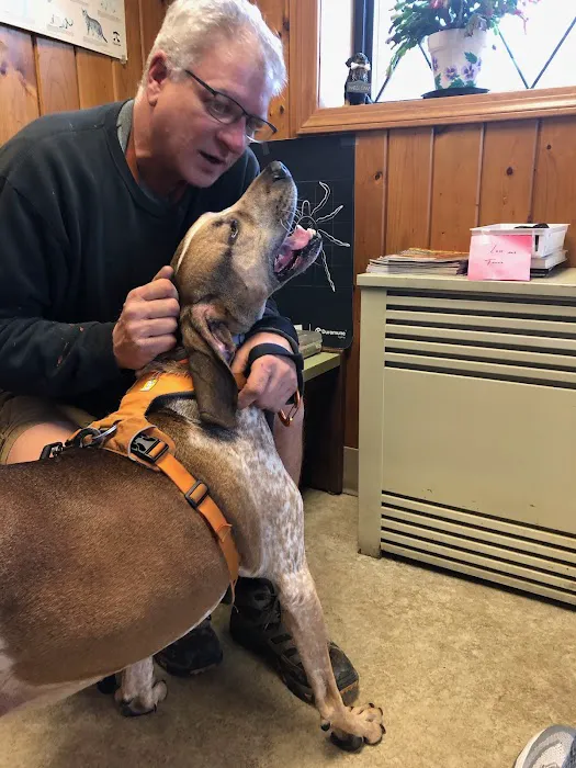 Imperial Animal Hospital Picture 1