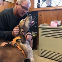 Imperial Animal Hospital ico