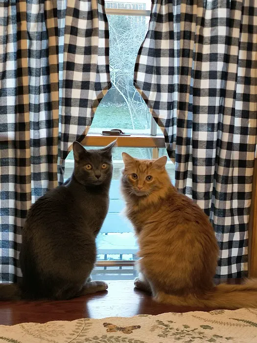 Whispering Pines Veterinary Services - Hermitage Picture 5